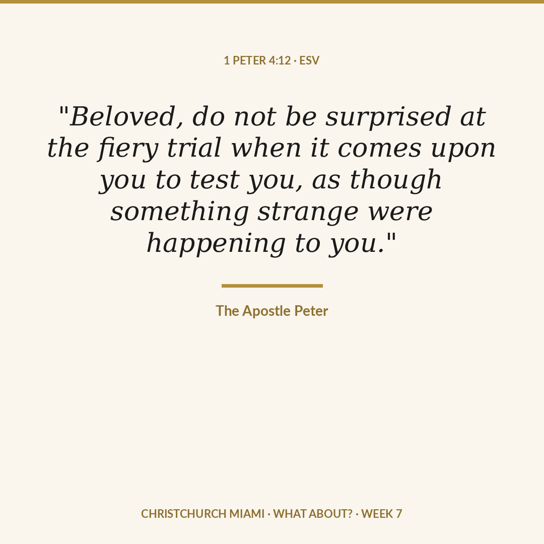 03-feed-scripture