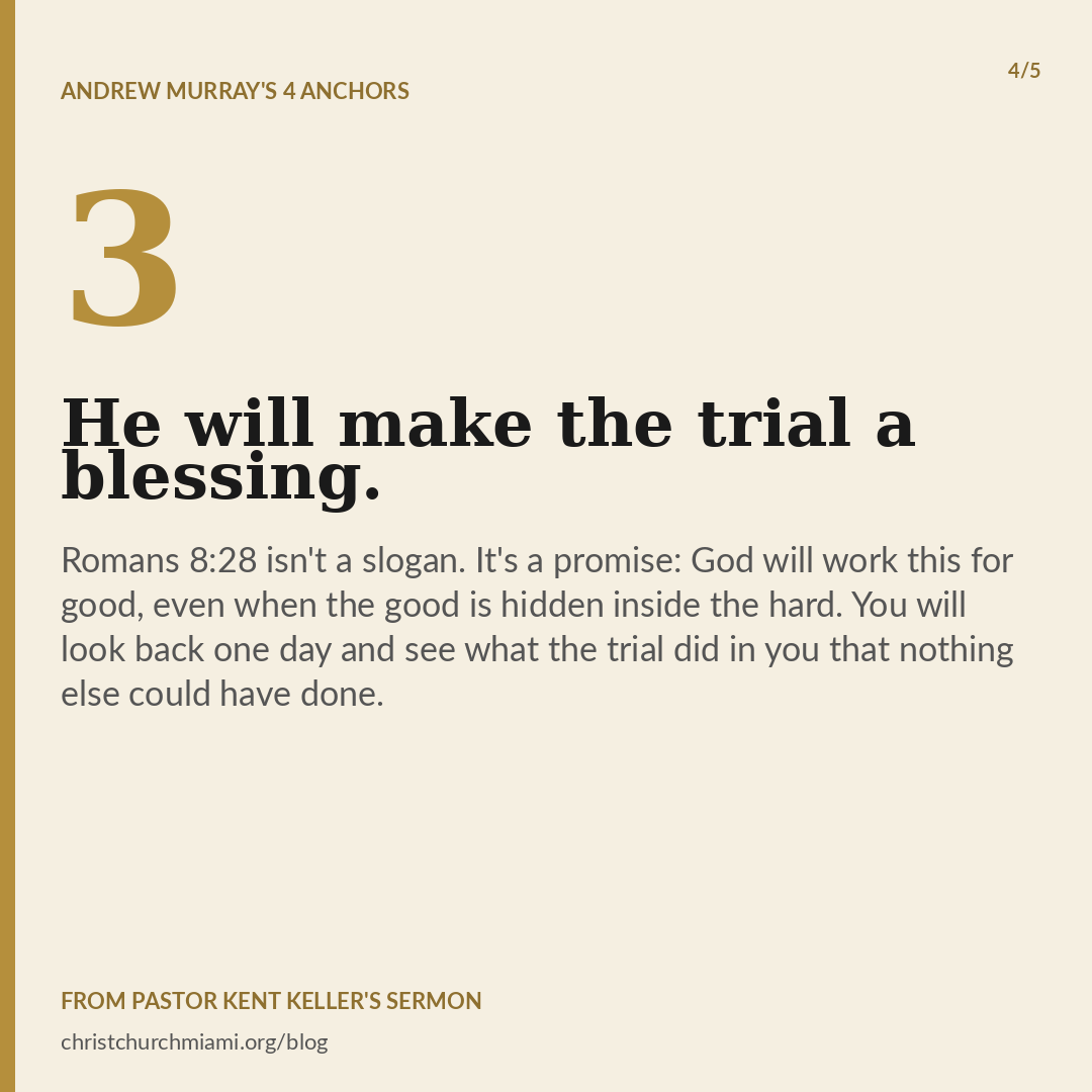09-carousel-04-bless-trial