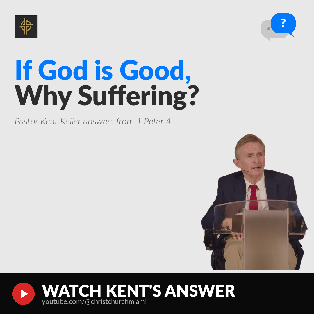 03-watch-question-feed