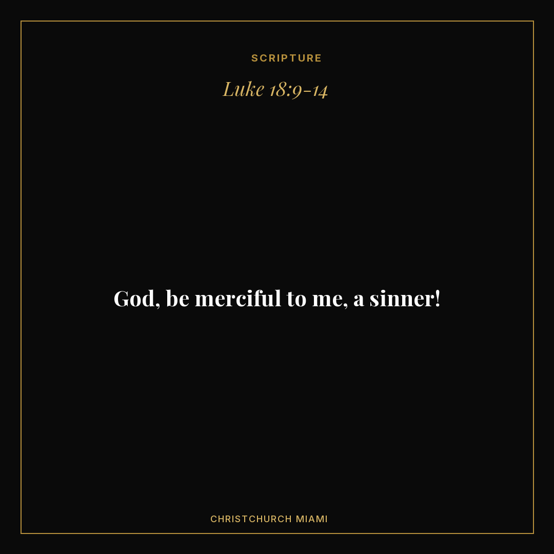 Feed · Scripture card — slide 1
