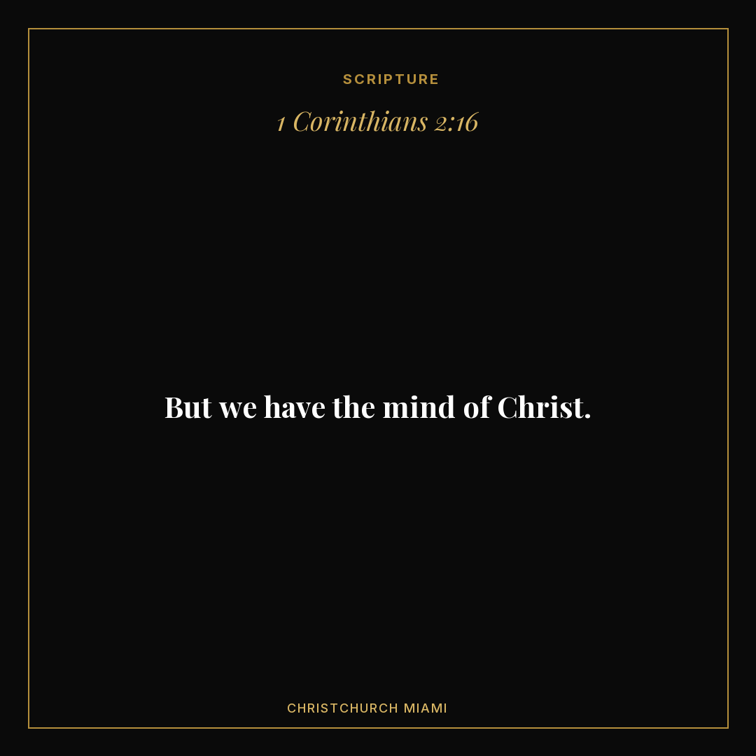 Feed · Scripture card — slide 1
