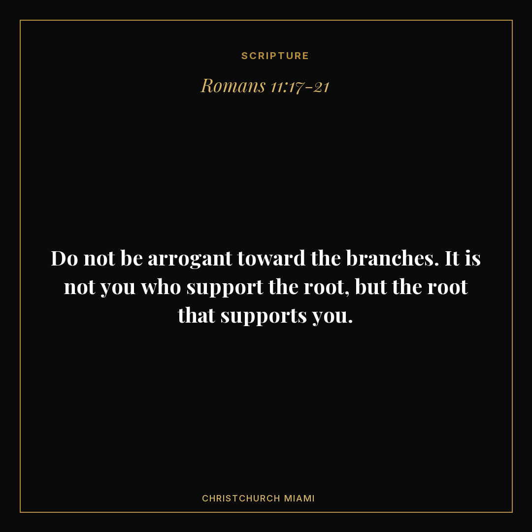 Feed · Scripture card — slide 1