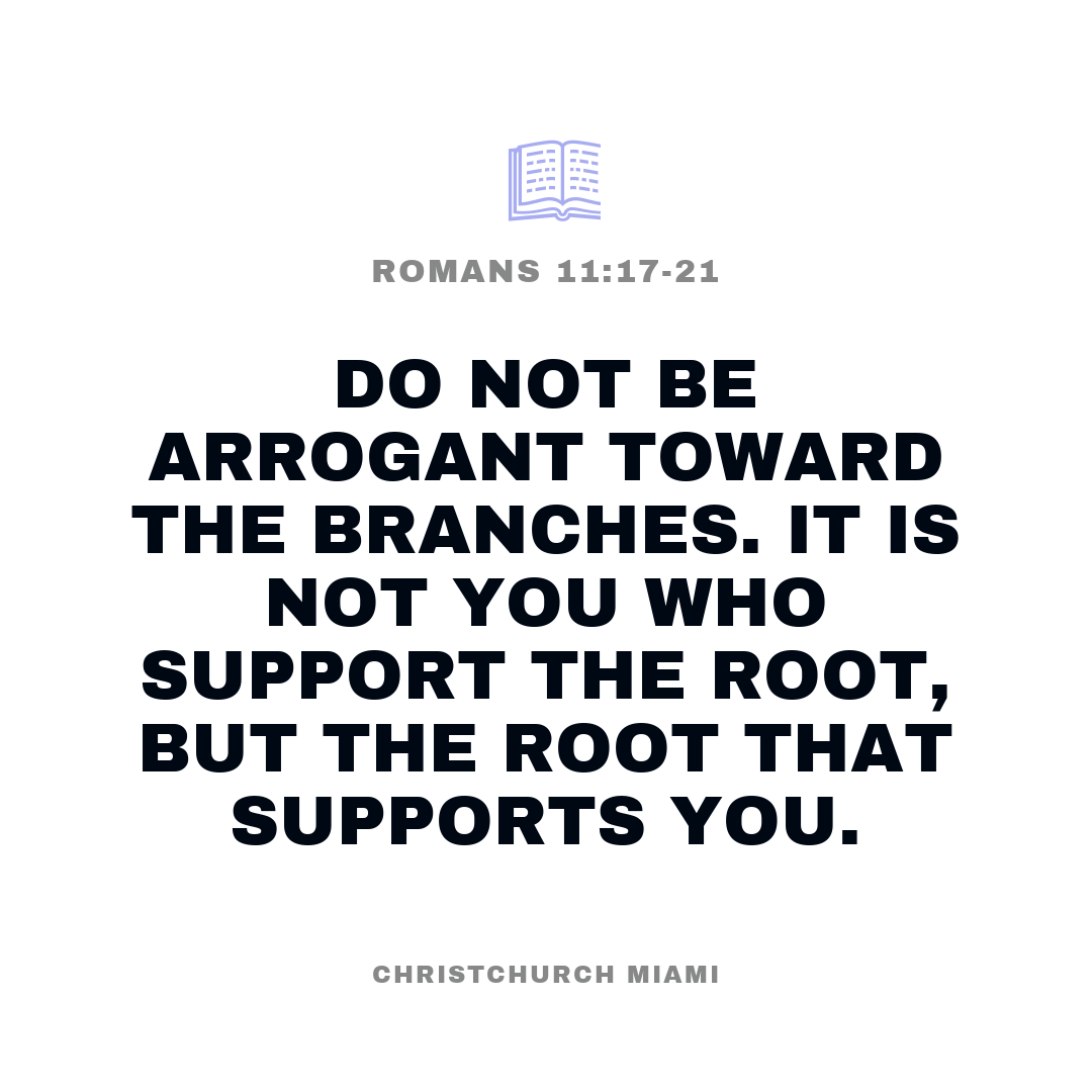 Isaiah · Feed · Scripture card — slide 1